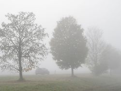 Bayern: Wetter in Bayern zeigt sich weiter von seiner trüben Seite