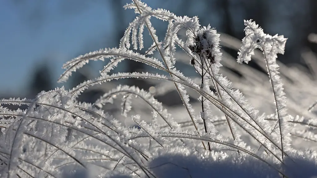 Laut-Prognose-entsteht-am-Donnerstag-und-in-der-Nacht-zu-Freitag-leichter-Frost