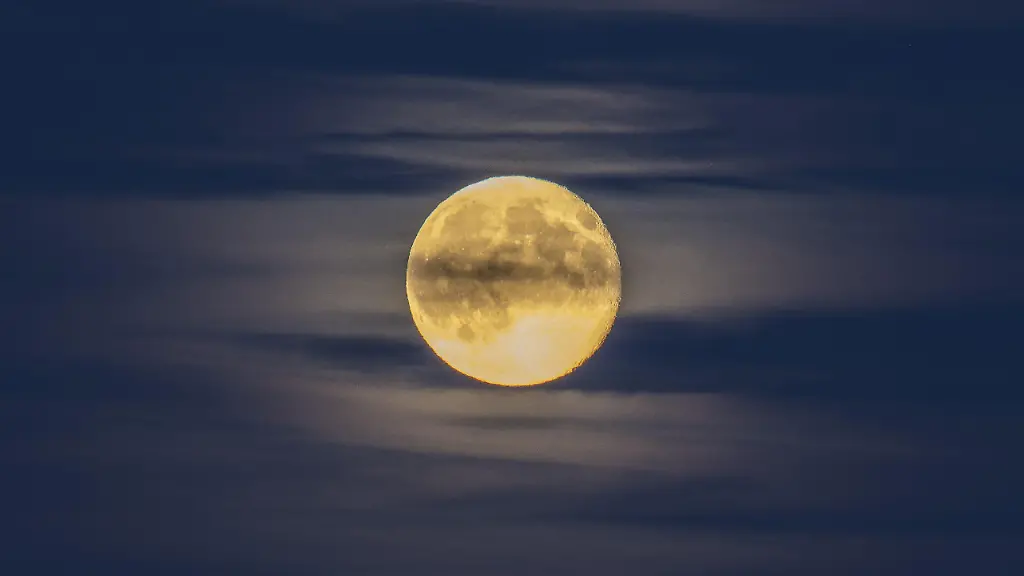 Vollmond-Supermond-ueber-dem-Moor-Emsland-Niedersachsen-Deutschland