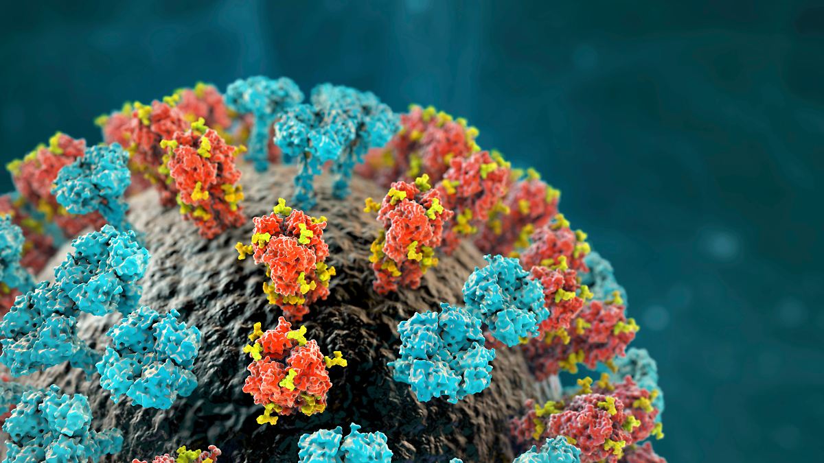 H3N2-Mutante-als-Verursacher-Alles-was-man-jetzt-zur-Grippe-wissen-muss