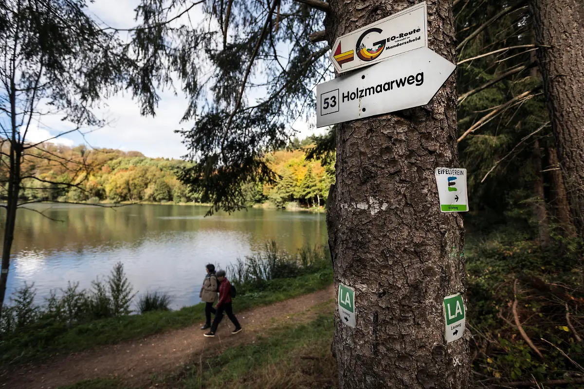 Holzmaar-in-der-Vulkaneifel-fast-vollstaendig-von-Wald-umgeben-Wanderweg-Holzmaarweg-Geo-Route-Lavaweg-Rundweg-Maare-Maar-See-Naturschutzgebiet-Gillenfeld-Rheinland-Pfalz-Deutschland-Europa