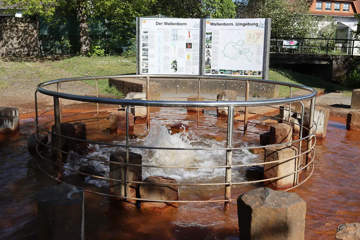 Der-Klatwasserceysir-Wallender-Born-in-Wallenborn-Eifel-Themenfoto-Natur-Kaltwasser-Geysir-Wallender-Born-Foto-Jogi-Muhr-Eibner-Pressefoto