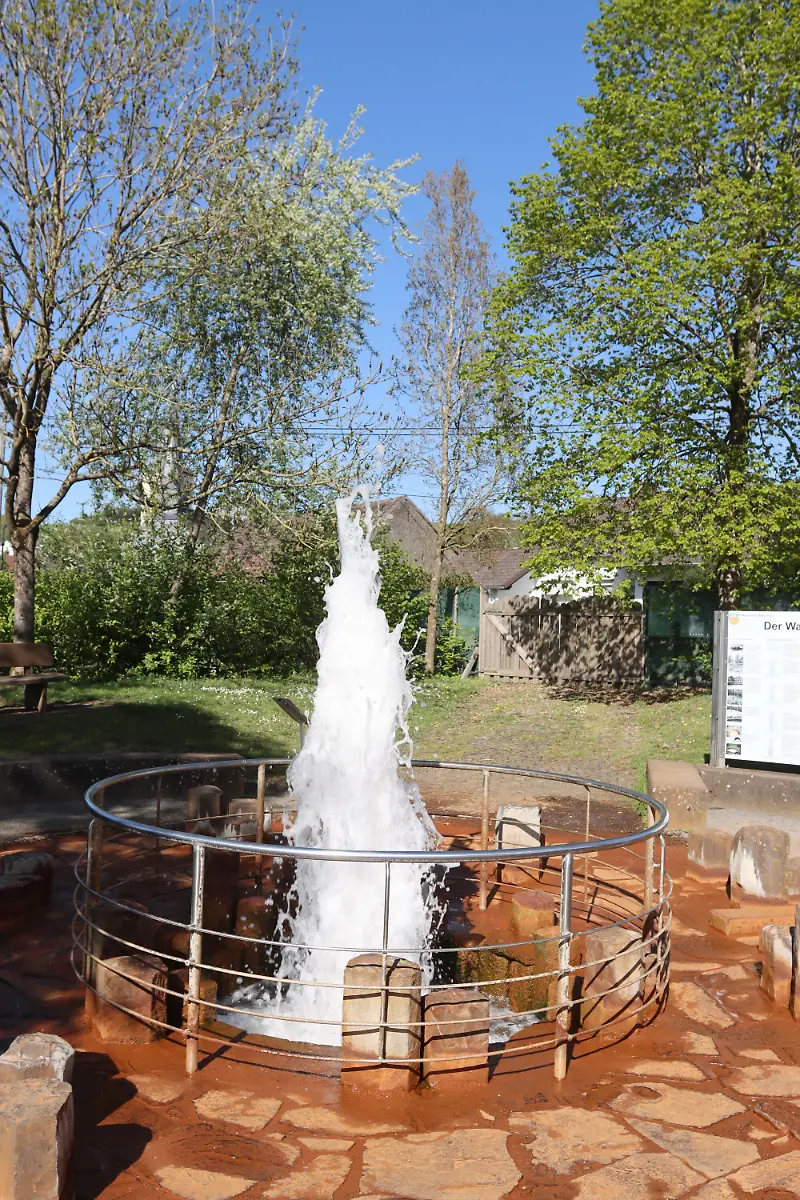 Der-Klatwasserceysir-Wallender-Born-in-Wallenborn-Eifel-Themenfoto-Natur-Kaltwasser-Geysir-Wallender-Born-Foto-Jogi-Muhr-Eibner-Pressefoto