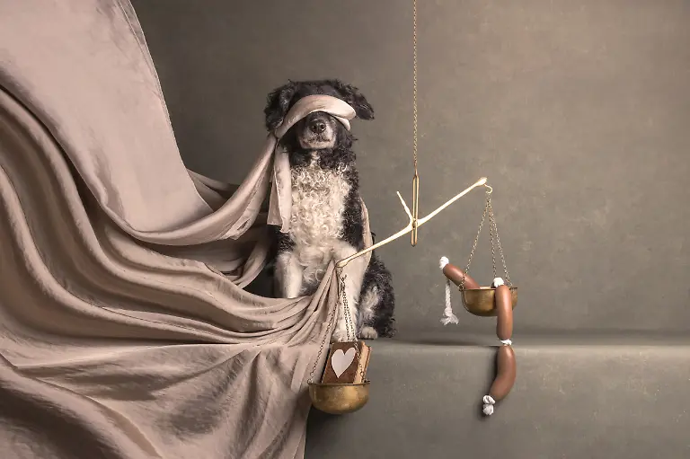 163ee3c0-7a09-11f0-97cf-8d06fb6f205b