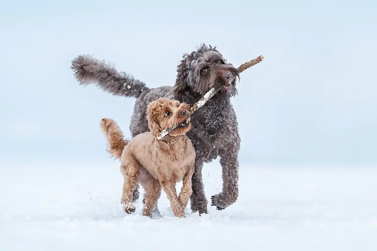 ce2c67f0-78f6-11f0-b46f-8119a8085275