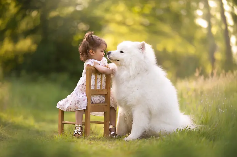 7d7e28a0-7759-11f0-8d14-13e86c8be9dd