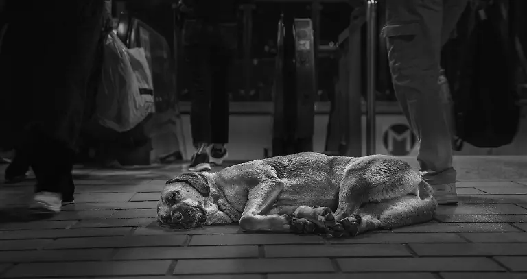 e2279c20-78f6-11f0-bf9d-354bda10625c