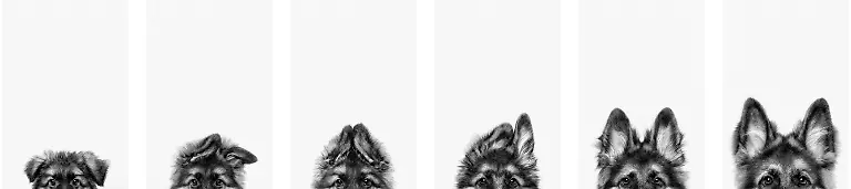 d2fa84d0-7985-11f0-8fde-d17cf6722591