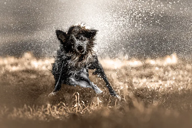 2ab7d760-5391-11f0-9c0b-7523f3259b70