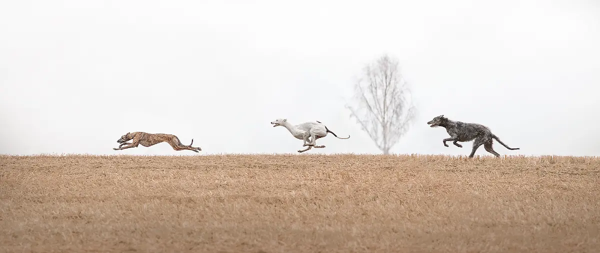 1a0c7b40-79c1-11f0-9ed1-31912cb6e4b4