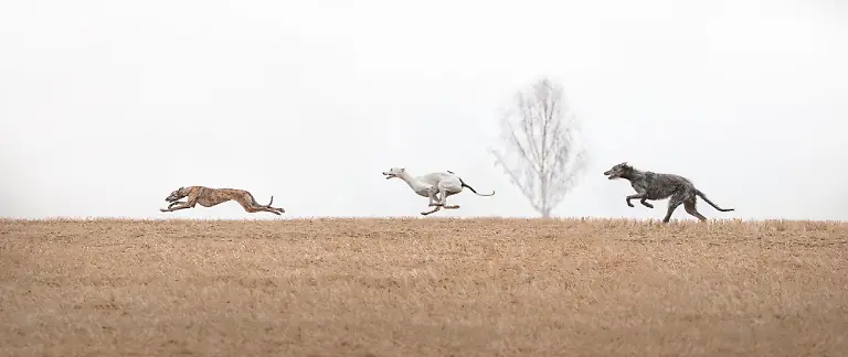 1a0c7b40-79c1-11f0-9ed1-31912cb6e4b4