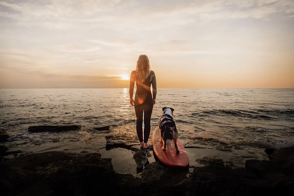 0c4a4850-5371-11f0-8510-85e81174ce83