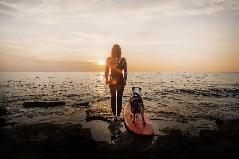 0c4a4850-5371-11f0-8510-85e81174ce83