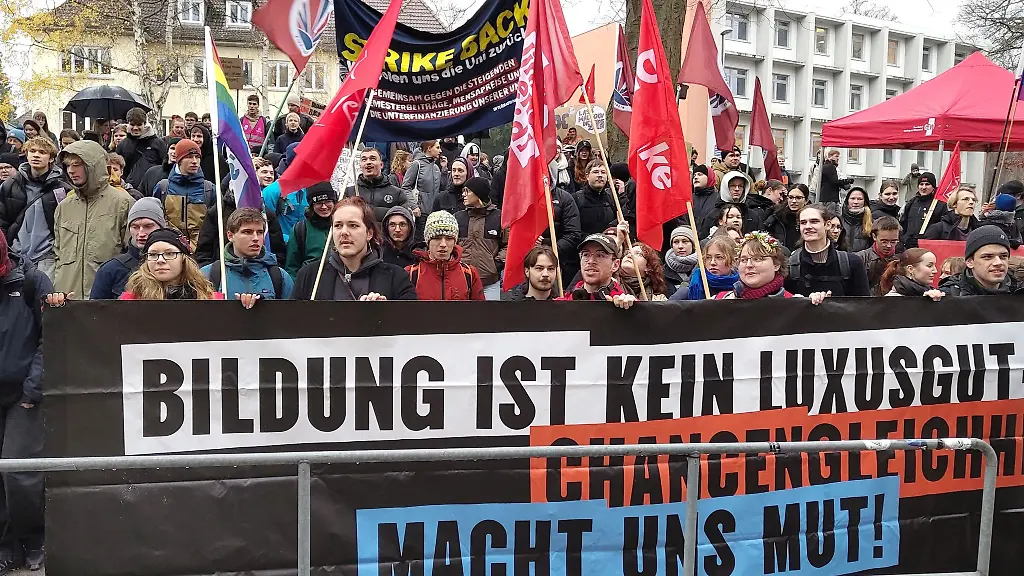 Sie-zeigen-den-Landtagsabgeordneten-ihre-Meinung-Studenten-in-Kiel