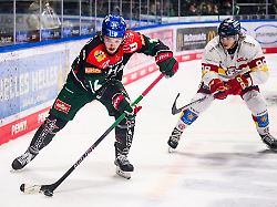 Bayern: Eishockey-Profi Busdeker verlängert in Augsburg