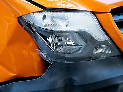 Beweise nicht ausreichend?: Wann die Versicherung einen Wildschaden nicht zahlen muss