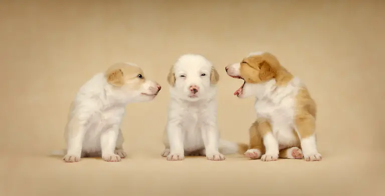 b34a8a30-8467-11f0-9df2-89026989ca6d