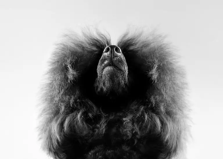 eeb7bcb0-86a5-11f0-b17e-f5caa7c4e948