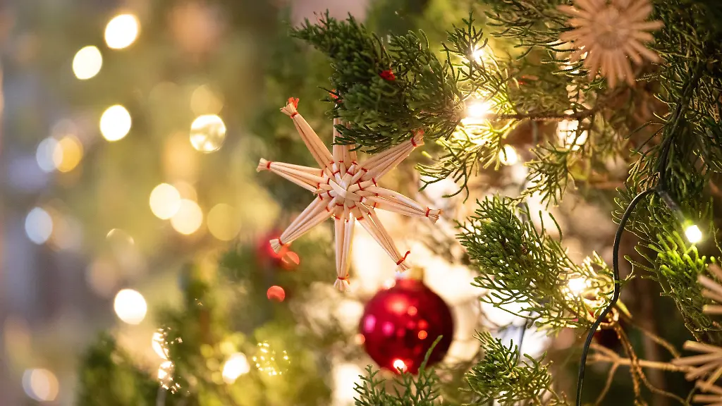 Auf-dem-Weihnachtsmarkt-in-Erbach-wurde-unter-anderem-Deko-zerstoert