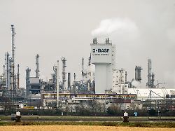 "Wird nicht verschwinden": BASF-Chef äußert sich zur Deindustrialisierungs-Debatte