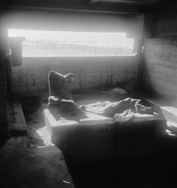 Anefo-photo-collection-Scheveningen-overview-of-the-beach-and-boulevard-breaks-Atlantikwall-September-1945