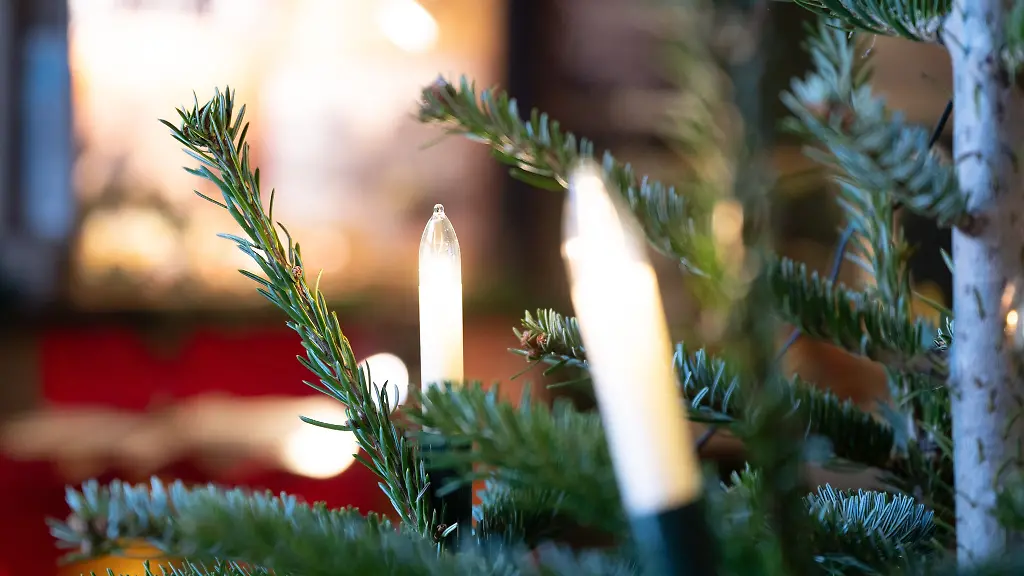 Die-Weihnachtsbaum-Diebe-werden-von-einem-Sicherheitsmitarbeiter-entdeckt