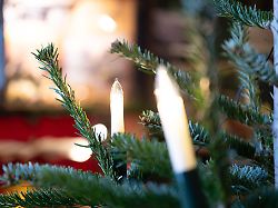Baden-Württemberg: Diebe wollen Weihnachtsbaum von Marktplatz stehlen