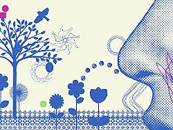 "Mit Ihrer Tochter stimmt was nicht": Nicht riechen können - die unsichtbare Behinderung