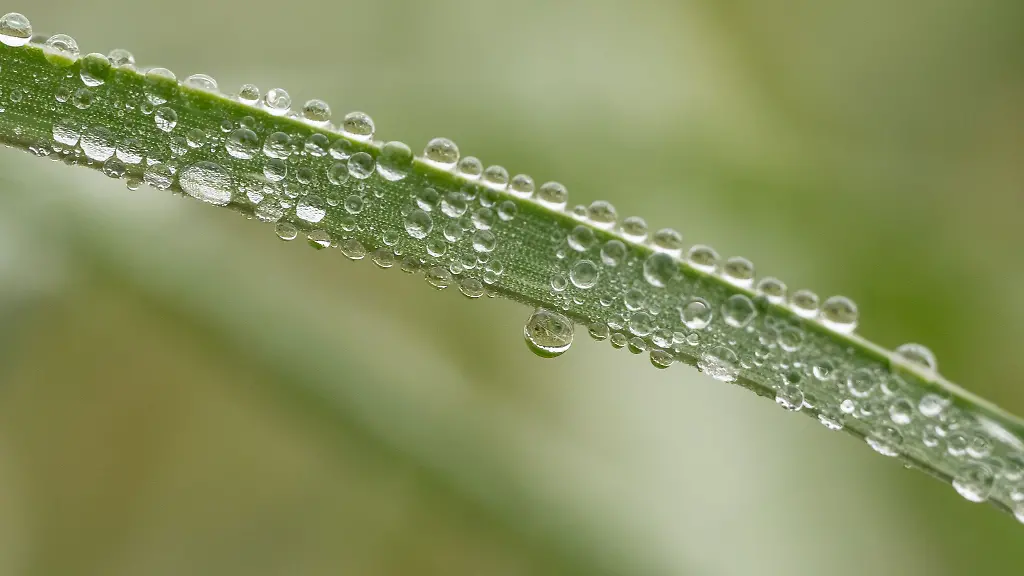 In-Baden-Wuerttemberg-wird-es-am-Wochenende-vor-allem-regnerisch