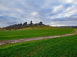 Sachsen-Anhalt: Sachsen-Anhalt erlebt Dezember mit Frühlings-Temperaturen