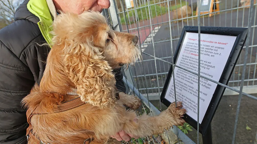 Der-erstmals-geplante-Hunde-Weihnachtsmarkt-am-Neustaedter-See-ist-kurzfristig-abgesagt-worden