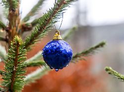 Bis zu 16 Grad: Vor dem dritten Advent wird's frühlinghaft - und nass