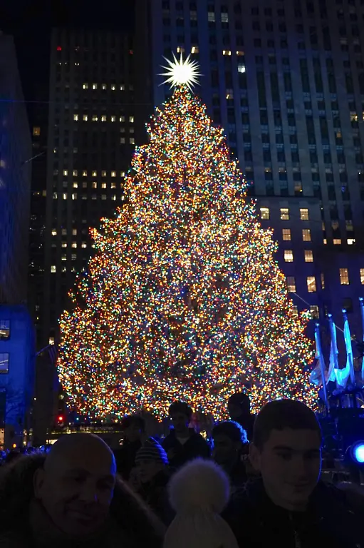 A-23-meter-tall-Christmas-tree-at-the-Rockefeller-Center-in-New-York-is-illuminated-with-more-than-50-000-LED-lights-on-Dec