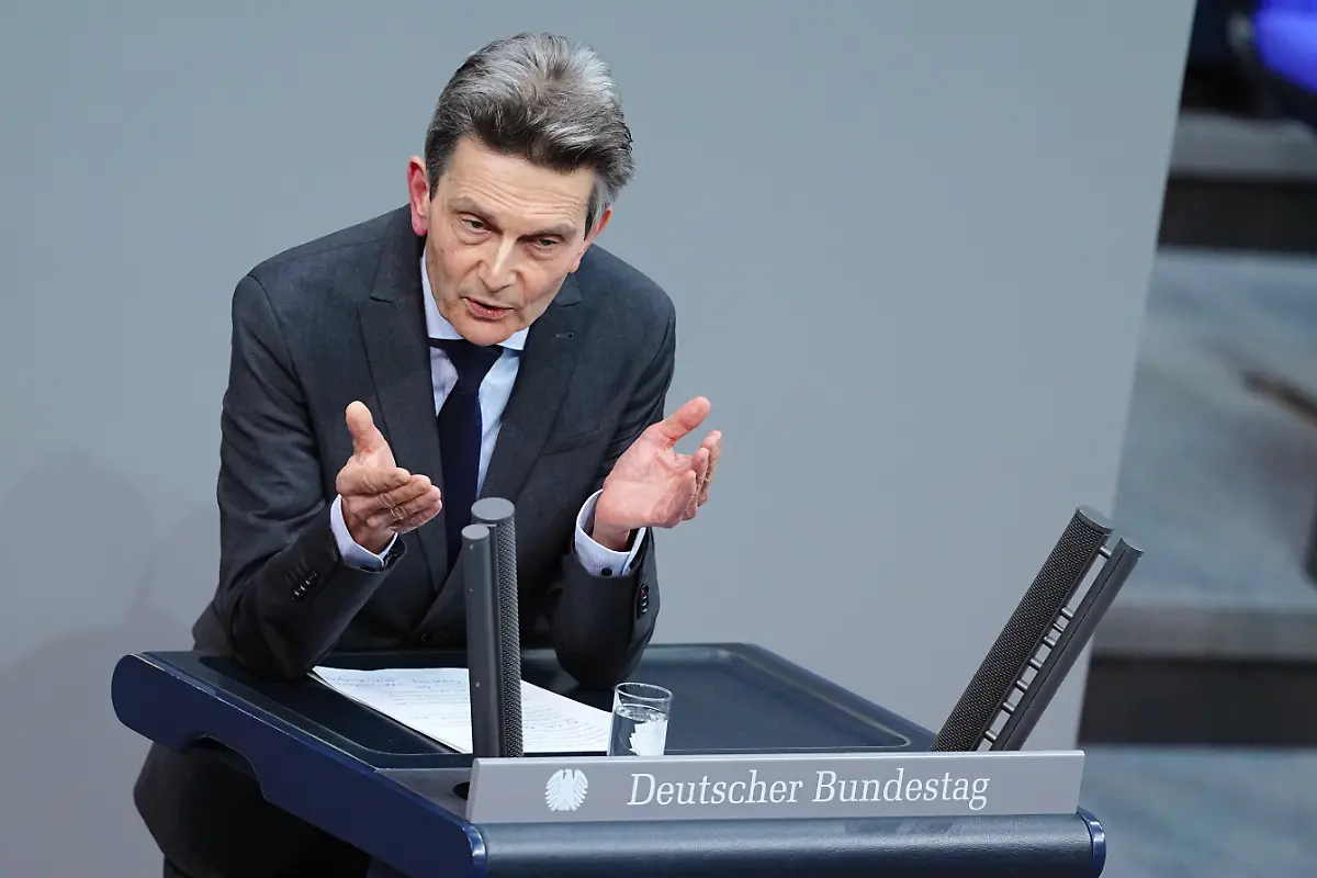 Rolf-Muetzenich-damaliger-Vorsitzender-der-SPD-Bundestagsfraktion-spricht-am-31-1-2025-im-Plenarsaal-im-Bundestag