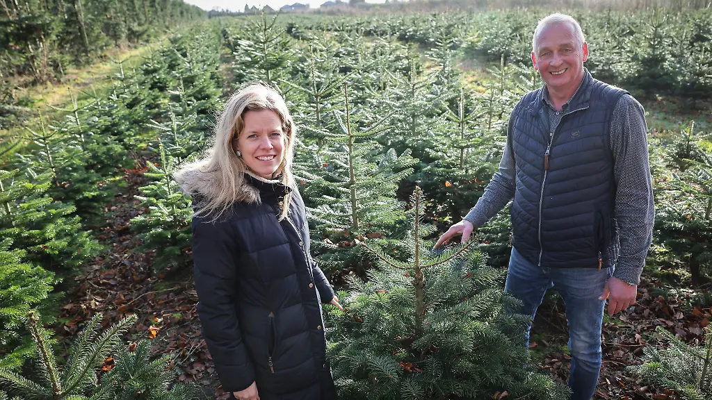 Diese-Weihnachtsbaeume-sind-noch-nicht-gross-genug-um-vermarktet-zu-werden