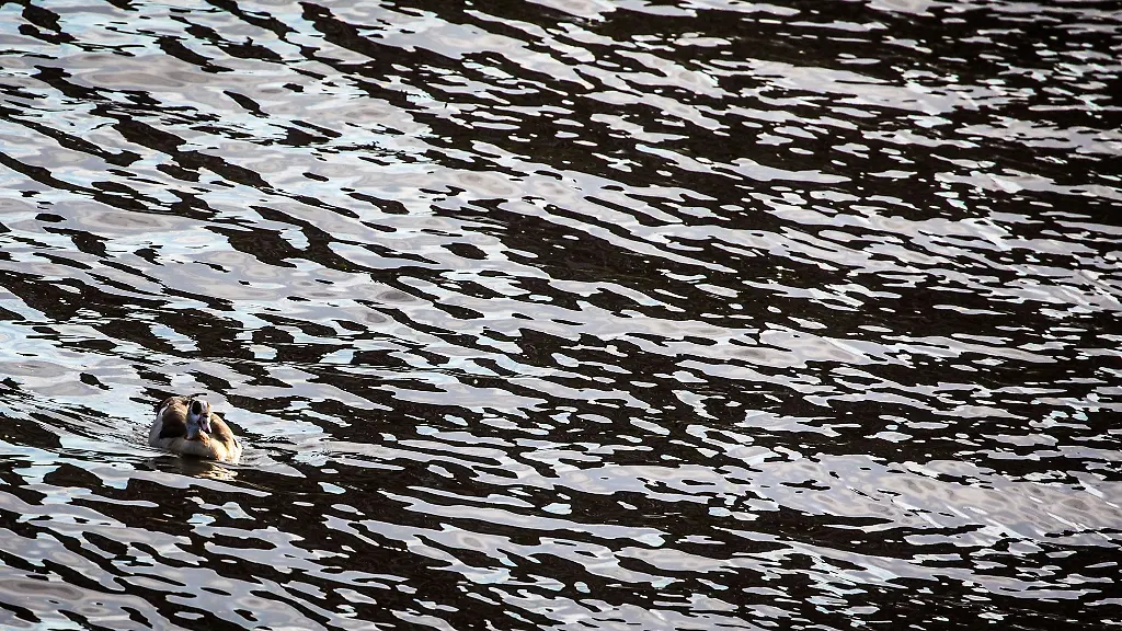 Auf-dem-Main-in-Unterfranken-gab-es-eine-Havarie-bei-der-Dieselkraftstoff-ins-Wasser-gelaufen-ist