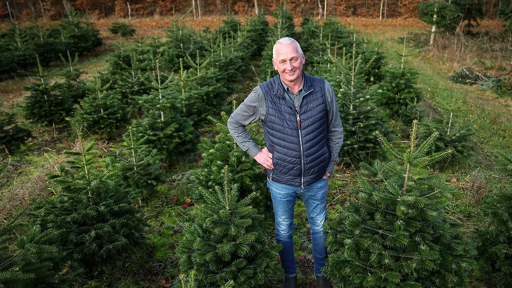 Hier-wachsen-die-Weihnachtsbaeume-fuer-die-kommenden-Jahre