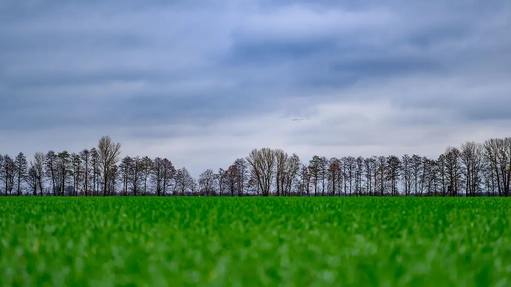 Viele-Wolken-ziehen-in-den-kommenden-Tagen-ueber-Berlin-und-Brandenburg