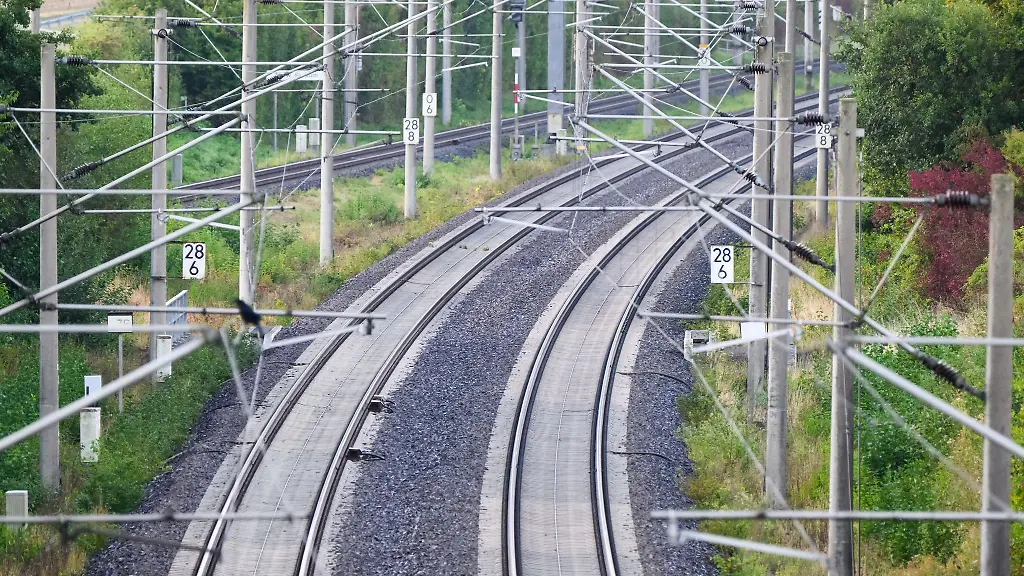 Ein-Marder-hat-den-Bahnverkehr-zwischen-Magdeburg-und-Dessau-nahezu-lahmgelegt
