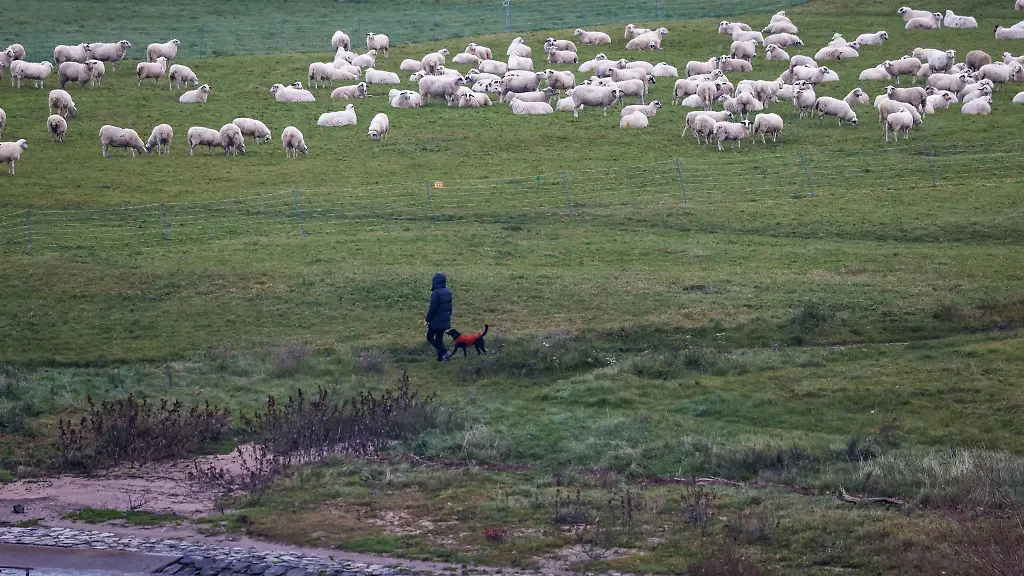 Es-bleibt-mild-und-fuer-die-Jahreszeit-zu-warm-in-NRW