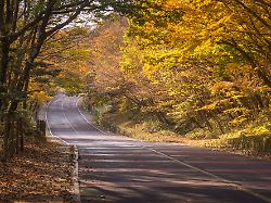 Auch November platziert sich: 2025 könnte zum zweitwärmsten Jahr werden