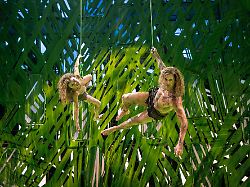 Gemeinsam auf der Bühne: Alexander Klaws' Sohn tritt in seine "Tarzan"-Fußstapfen