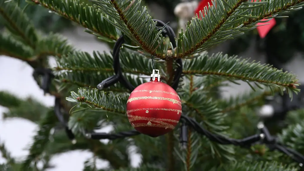 Tannenbaum-Ast-mit-Weihnachtskugel-Weihnachtsschuck-Christbaumkugel