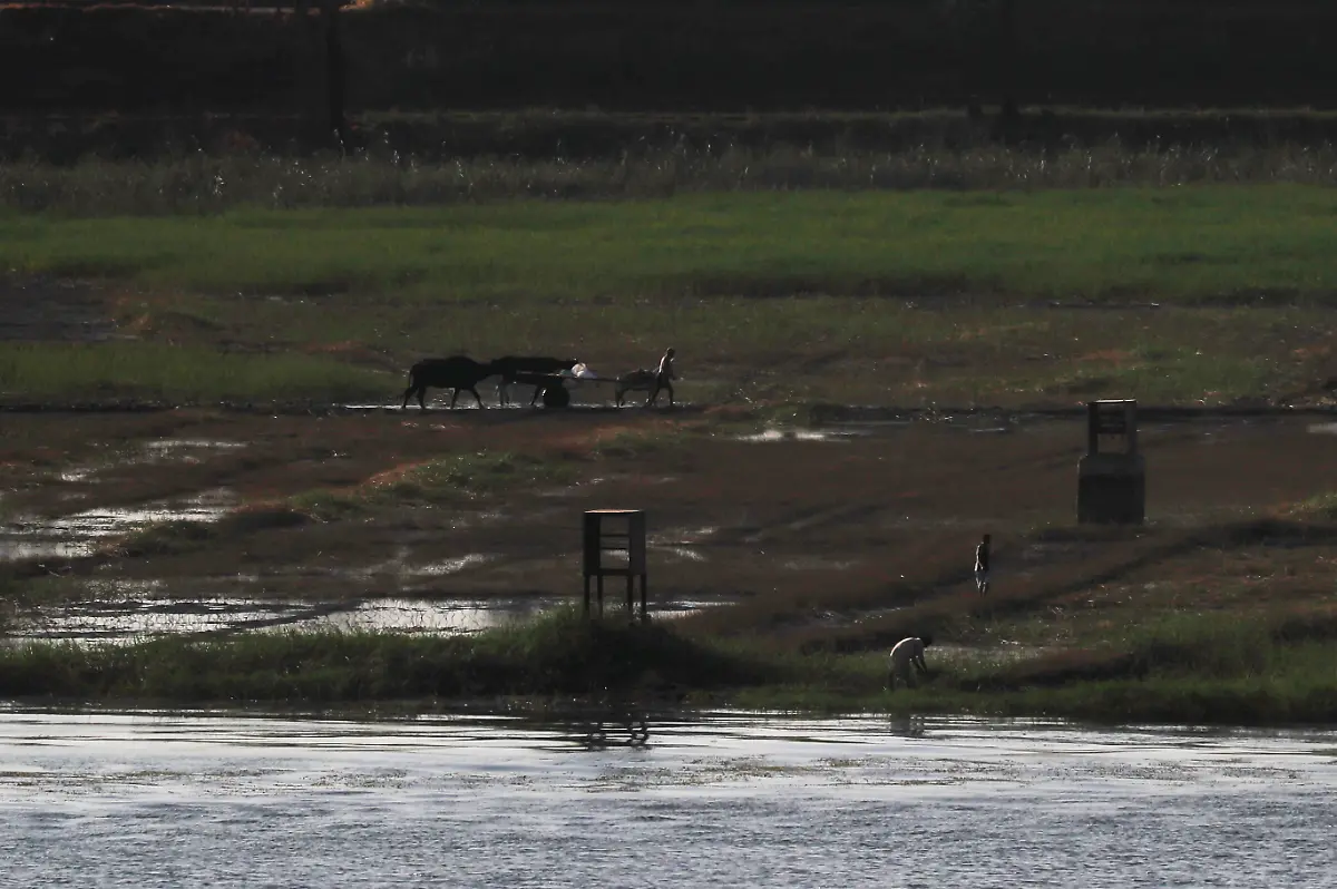 2019-11-06T140353Z-1331811291-RC2Q5D9ROUI1-RTRMADP-3-EGYPT-WATER