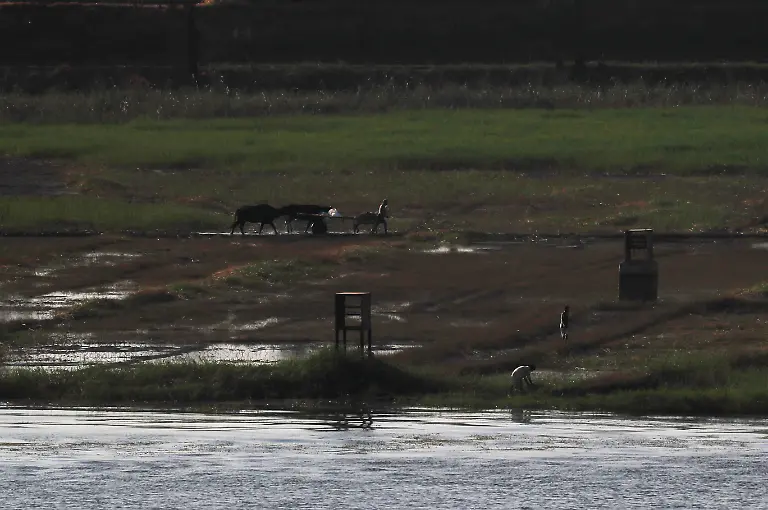 2019-11-06T140353Z-1331811291-RC2Q5D9ROUI1-RTRMADP-3-EGYPT-WATER