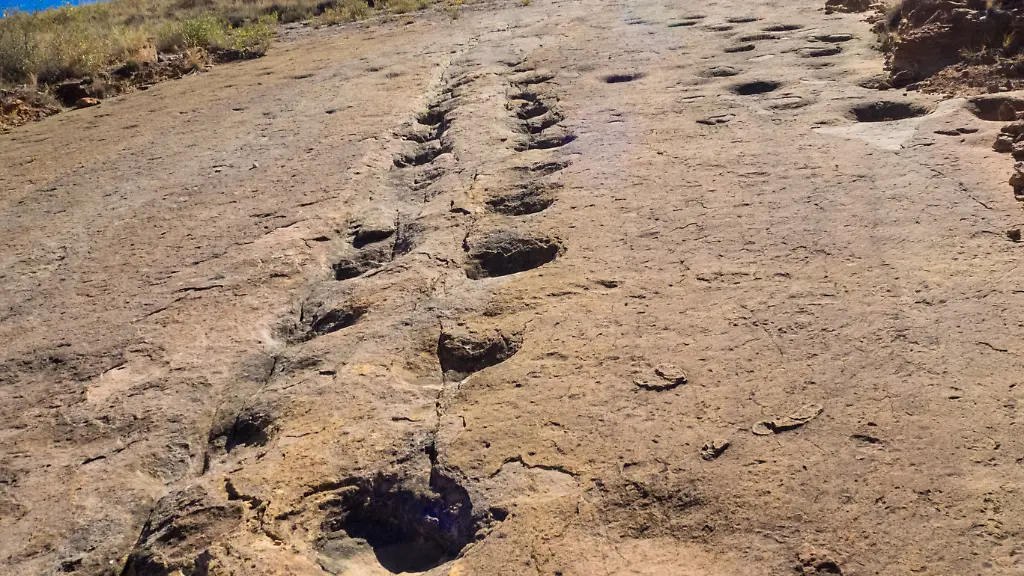 Dinosaur-footprint-in-Toro-Toro-Bolivia-Dinosaur-footprint-in-Toro-Toro-Bolivia