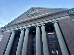 Suchmaschine will neue Kategorie: Ecosia wirbt für Klima-Nobelpreis und bietet Finanzierung an