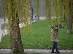 Rheinland-Pfalz & Saarland: Regen und milde Temperaturen im Südwesten erwartet