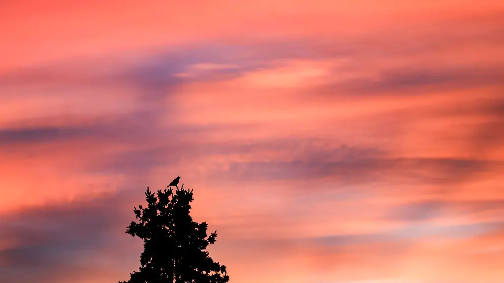 In-Sachsen-kommt-es-zu-milden-Temperaturen