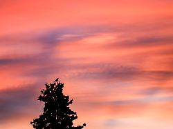 Sachsen: Milde Temperaturen in Sachsen